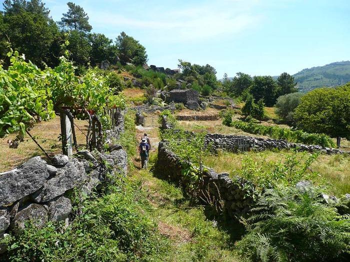 Villa Casa Da Gandarela à Soajo Extérieur photo